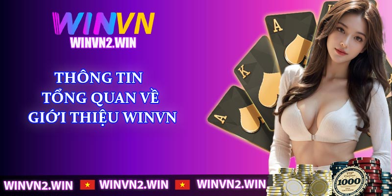 Thông tin tổng quan về giới thiệu WINVN