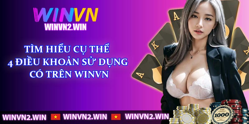 Tìm hiểu cụ thể 4 điều khoản sử dụng có trên WINVN
